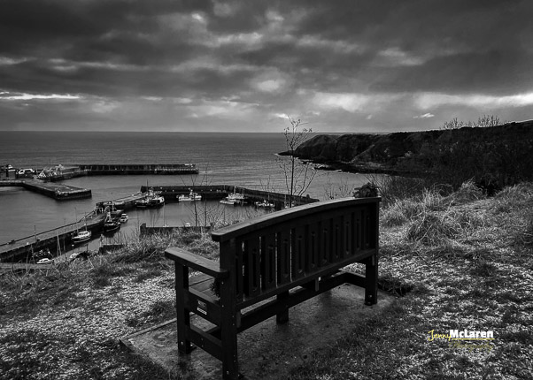 Perfect view piont over stonehaven harbour